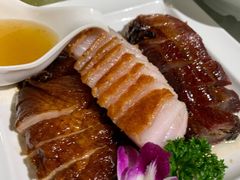烧鹅-高老庄绿色传奇(昊元生活广场店)