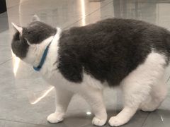 -贝利宠物医院·骨科·眼科·肿瘤转诊中心(南坪诊疗中心)