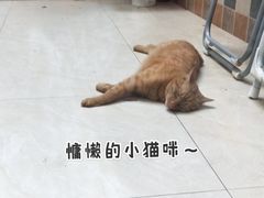 -羽·摄影工作室·外拍·跟拍·活动会议视频
