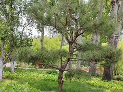 -元大都城垣遗址公园