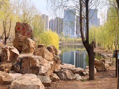 -长春公园(普阳街道)