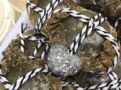 -乡乐园蟹庄·阳澄湖农家乐