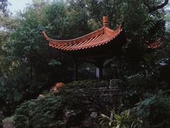 -广州兰圃