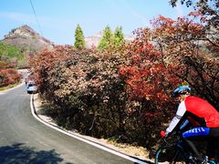 -博山九龙峪风景区