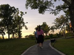 -宝安西湾红树林湿地公园