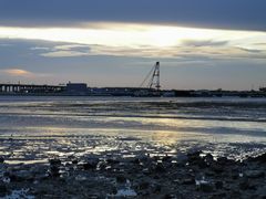 -宝安西湾红树林湿地公园