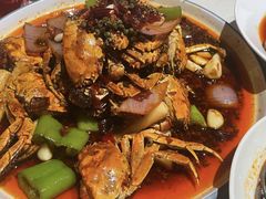 -杨氏青龙虾·羊蝎子(托乐嘉店)