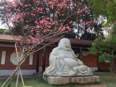 -惠和石文化园
