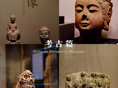 -四川大学博物馆
