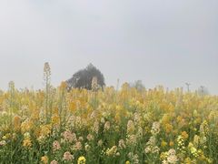 -中国天府农业博览园