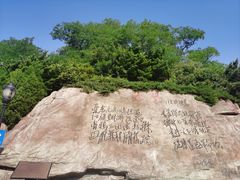 -棒棰岛宾馆景区