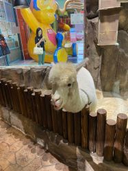 -宝燕乐园(闵行旗舰店)