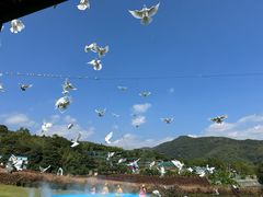 -瓷天下海丝谷