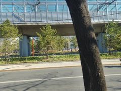 -清华东路西口(地铁站)