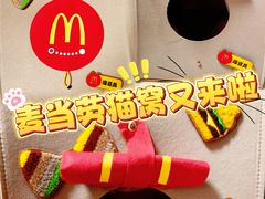 -麦当劳(祈年大街店)