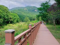 -三块石国家森林公园