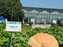 -长春农业博览园