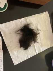 -禧婴婴儿理胎发·胎毛笔定制纪念品(新街口店)