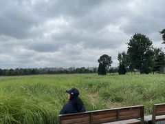 -汉长安城未央宫国家考古遗址公园