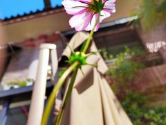 -陈熹公民族美食文化餐厅(中华广场店)