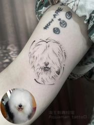-海王刺青·纹身·穿孔饰品·TATTOO