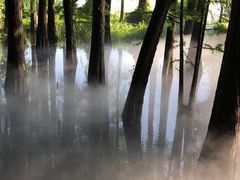 -东湖落雁景区