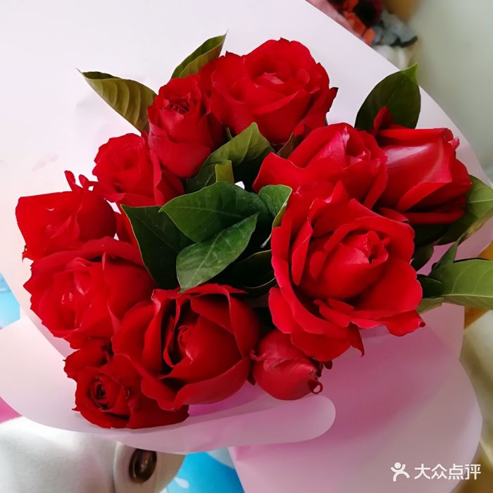 天丽鲜花图片 - 第5张
