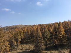 -驼梁风景区