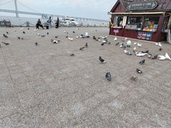 -星海广场