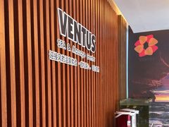 -ventus spa 沙巴亚庇正宗精油按摩会所