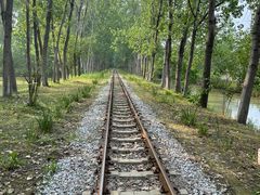 -合肥滨湖国家森林公园