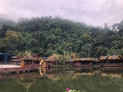 -西双版纳原始森林公园
