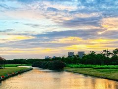 -春花秋色城市公园