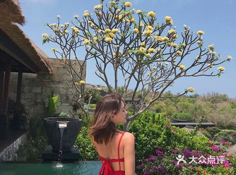 这个酒店让我想到了浪漫