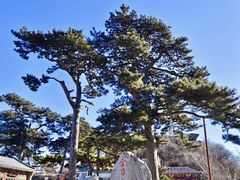 -妙峰山风景名胜区