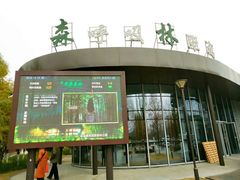 -黄海国家森林公园