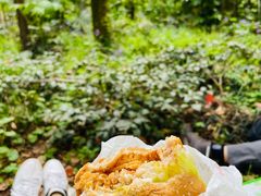 -上海共青森林公园