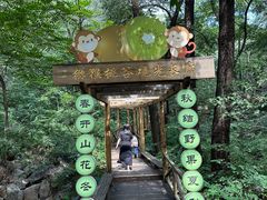-大岭沟猕猴桃谷风景区