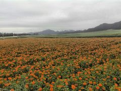 -扁都口生态休闲旅游区