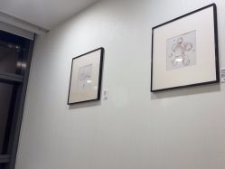 -智美品质医美