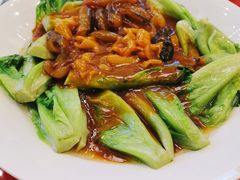 海森扒生菜-御彩酒家(东风东路店)