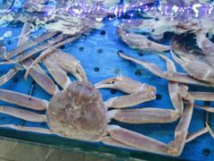 -日照大牌檔•小船海鲜(万平口店)