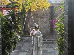 -古今茶语·峨眉山有机茶体验馆