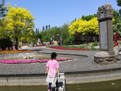 -武清南湖绿博园