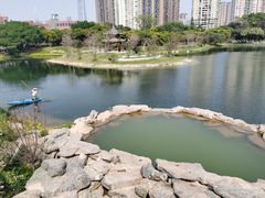 -四海公园(南山区)