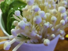 金针菇-捞围鲜·港式打边炉(海阳路店)