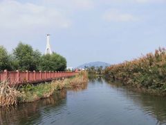 -芒洲湿地公园