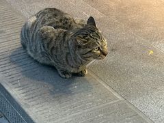-观音桥步行街