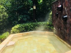 -天目湖涵田半山温泉