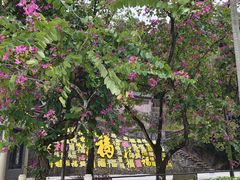 -飞霞风景名胜区